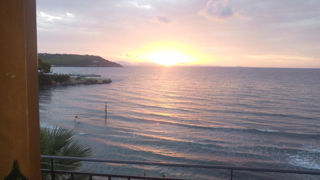 Oasis Hotel Theodoros & Litsa Galaris Agia Marina  Екстер'єр фото